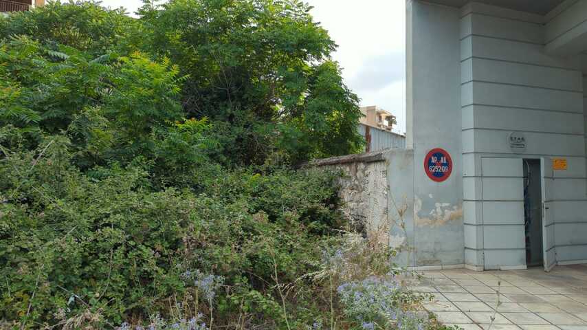 Φωτογραφία 2